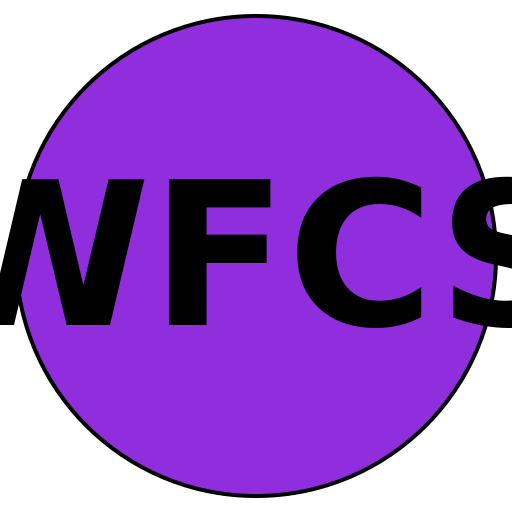 WisdomFocus Career Solutions